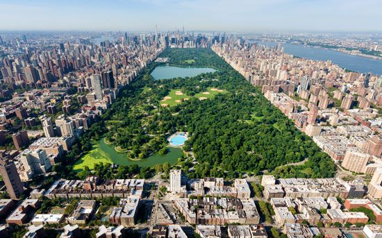 纽约:中央公园的俯瞰