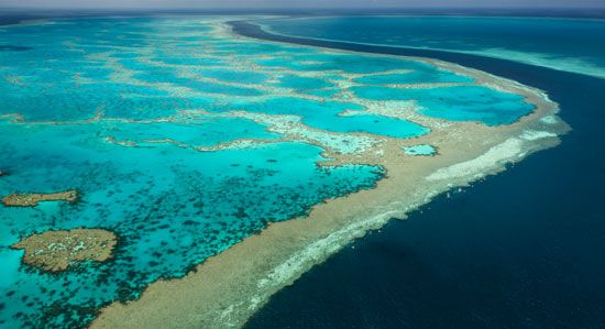澳大利亚:大堡礁
