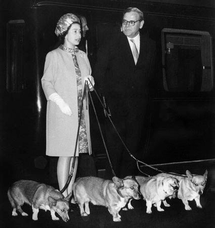 伊丽莎白二世和她的威尔士犬