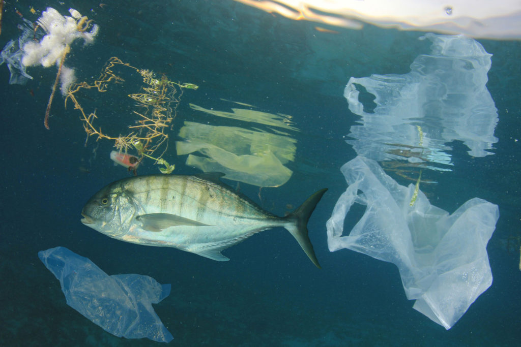 塑料污染海洋