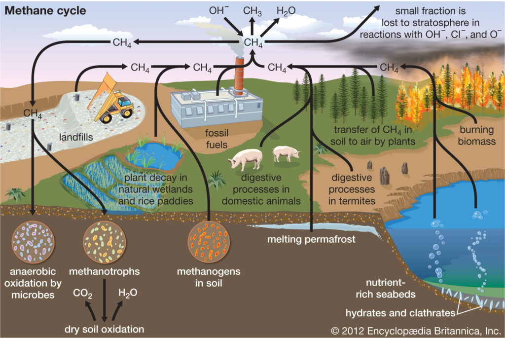 甲烷是一种温室气体,影响地球的不同方面。